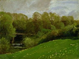 Meadow and Woodland